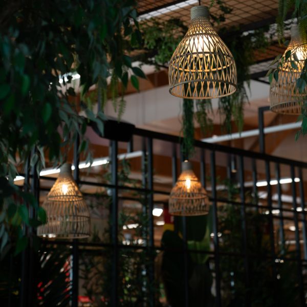 Nabi treviso immagine 3